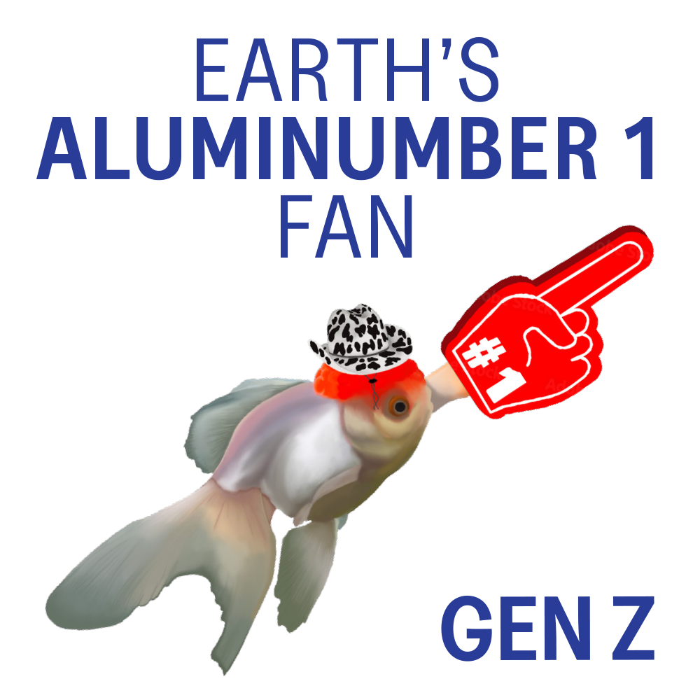 12-Aluminumber1