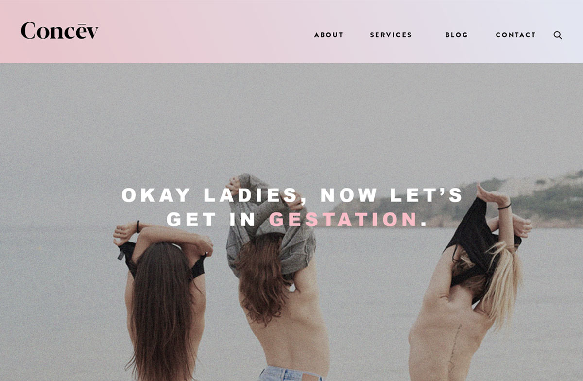 Screenshot from Concev website.