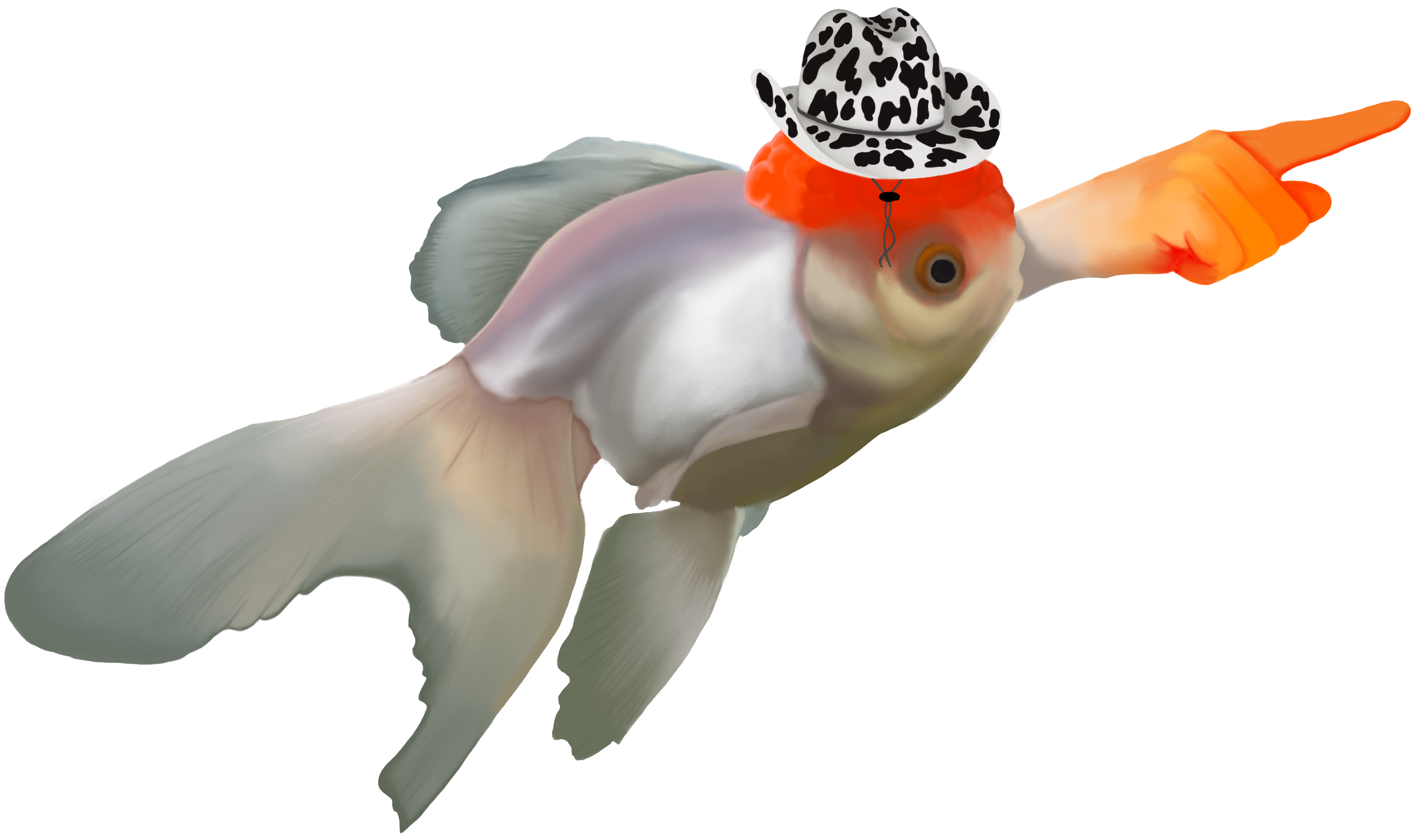 GEN Z_Goldfish