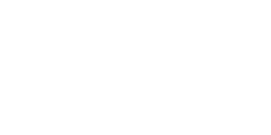 Native Logo