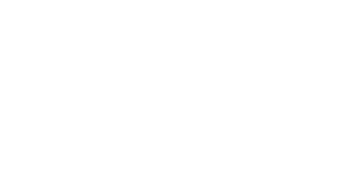 Flock Logo