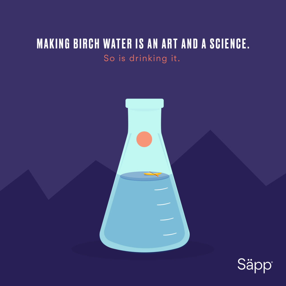 Sapp-DigitalAds-Image-2