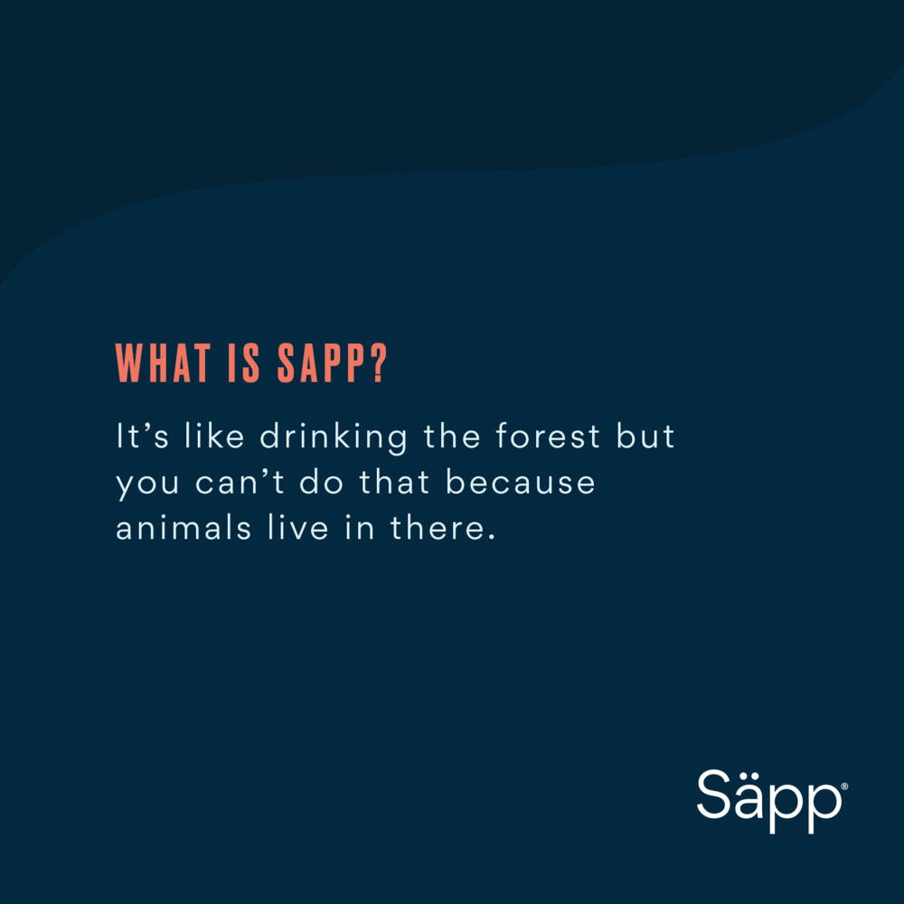 Sapp-DigitalAds-Image-3