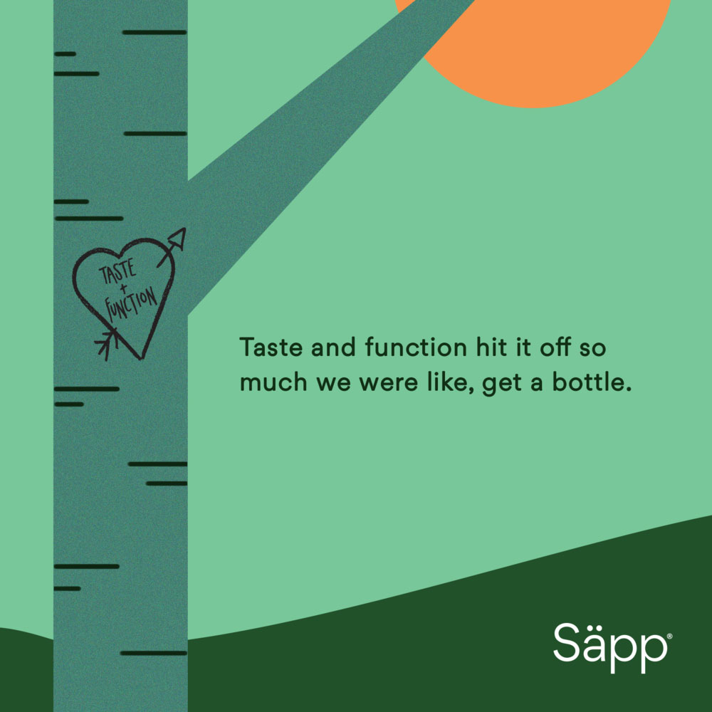 Sapp-DigitalAds-Image-4
