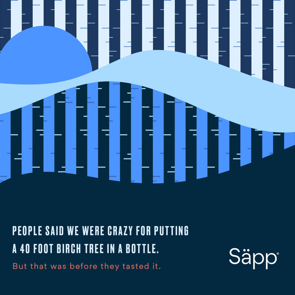 Sapp-DigitalAds-Image-8