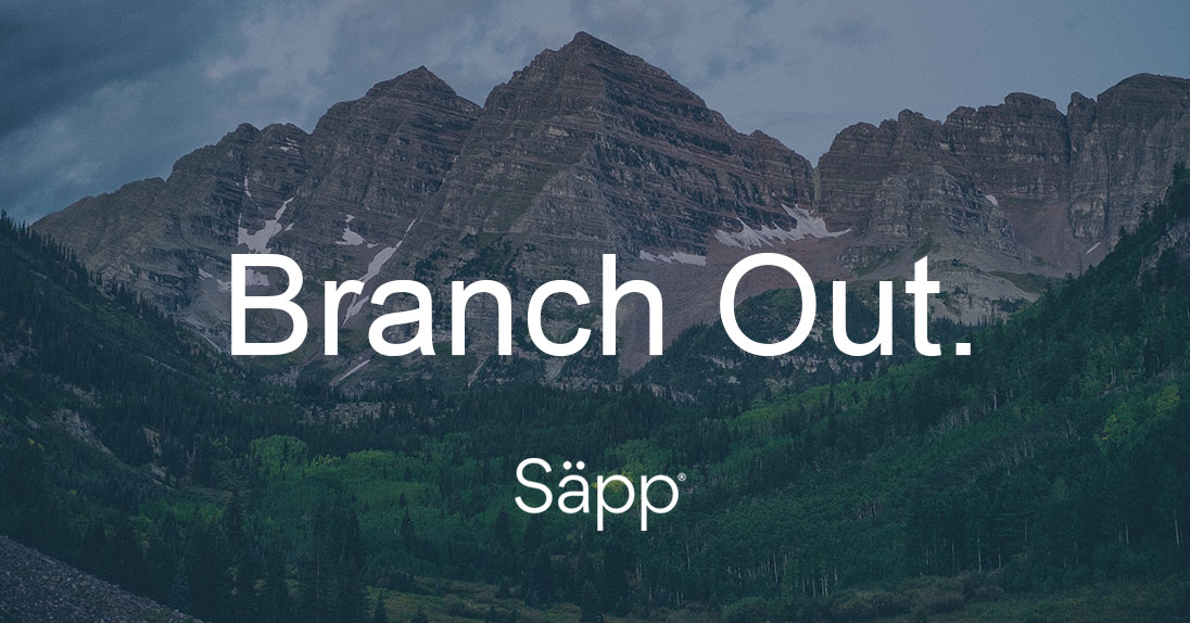 Sapp-DigitalAds-Tagline-Hero