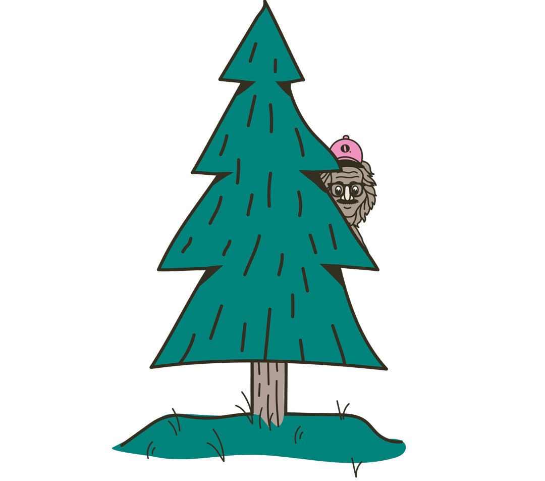 Sapp-Tree-Illi